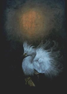 Egret's Call limited edition print